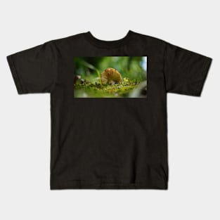 Mushroom Belly in the Green Moss Kids T-Shirt